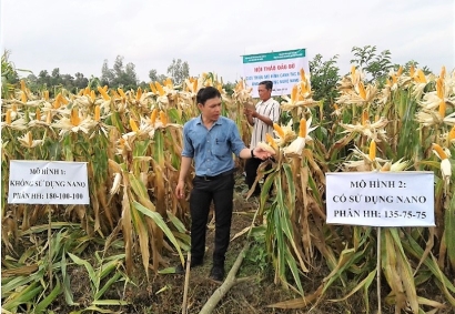Chế phẩm “đánh thức” hạt giống