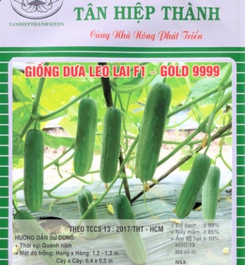 DƯA LEO LAI F1 - GOLD 9999