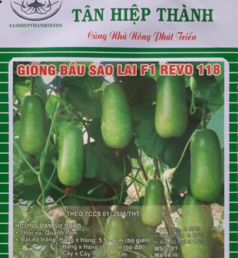  BẦU SAO LAI F1 - REVO118