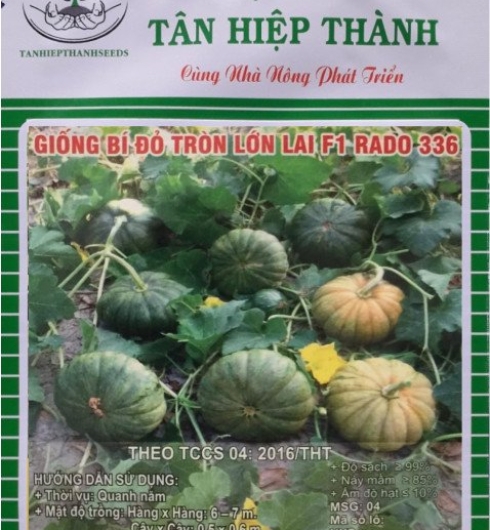 BÍ ĐỎ LAI F1 - RADO 336