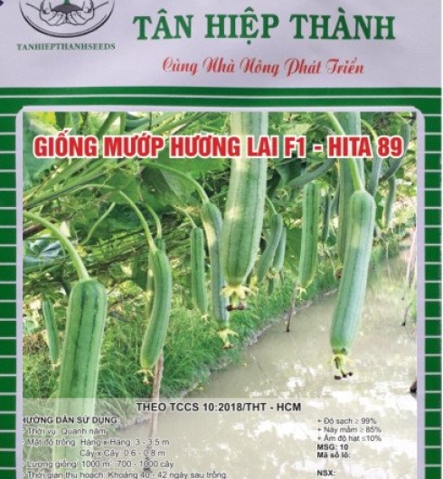 MƯỚP HƯƠNG LAI F1 - HITA 89