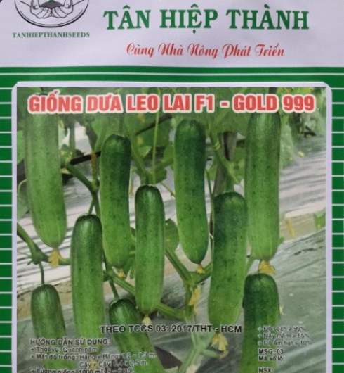 DƯA LEO LAI F1 - GOLD 999