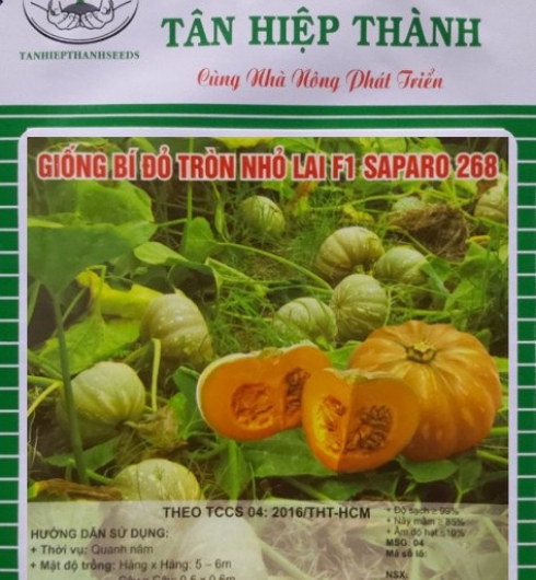 BI ĐỎ LAI F1 - SAPARO 268