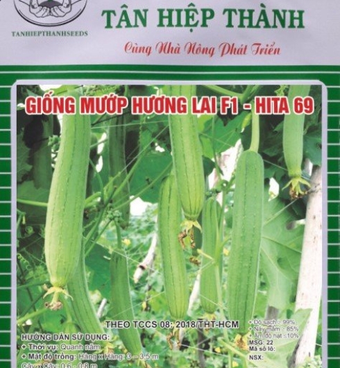 MƯỚP HƯƠNG LAI F1 - HITA 69