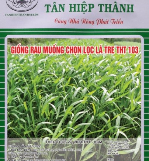 GIỐNG RAU MUỐNG CHỌN LỌC LÁ TRE – THT 103