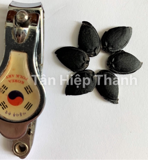 MƯỚP HƯƠNG LAI F1 - HITA 89