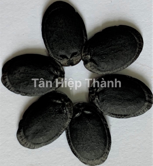 MƯỚP HƯƠNG LAI F1 - HITA 89
