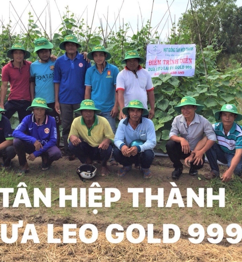 DƯA LEO LAI F1 - GOLD 999